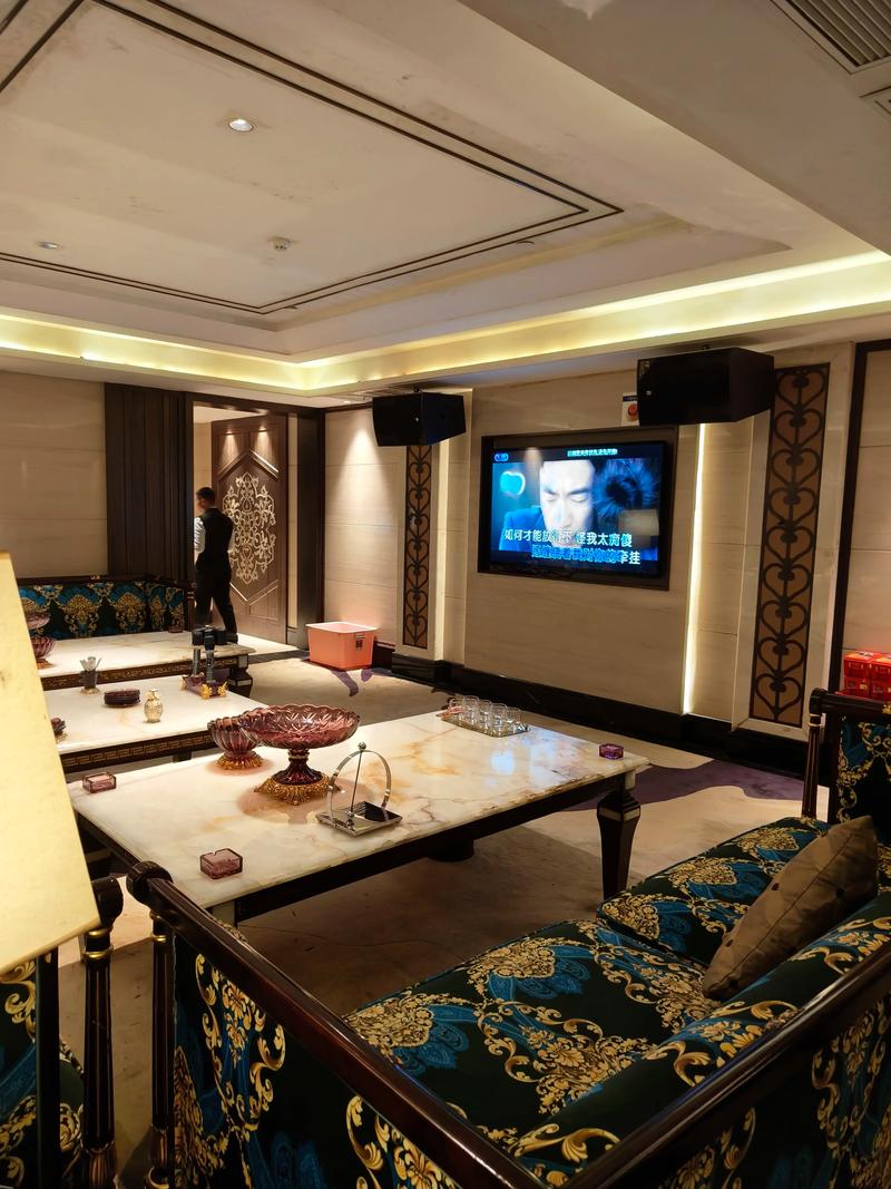 海东商务ktv优选商务ktv体验-乐都区ktv预订